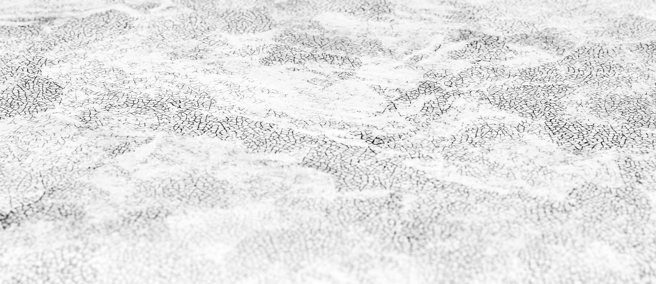 Eggshell blanc_noir