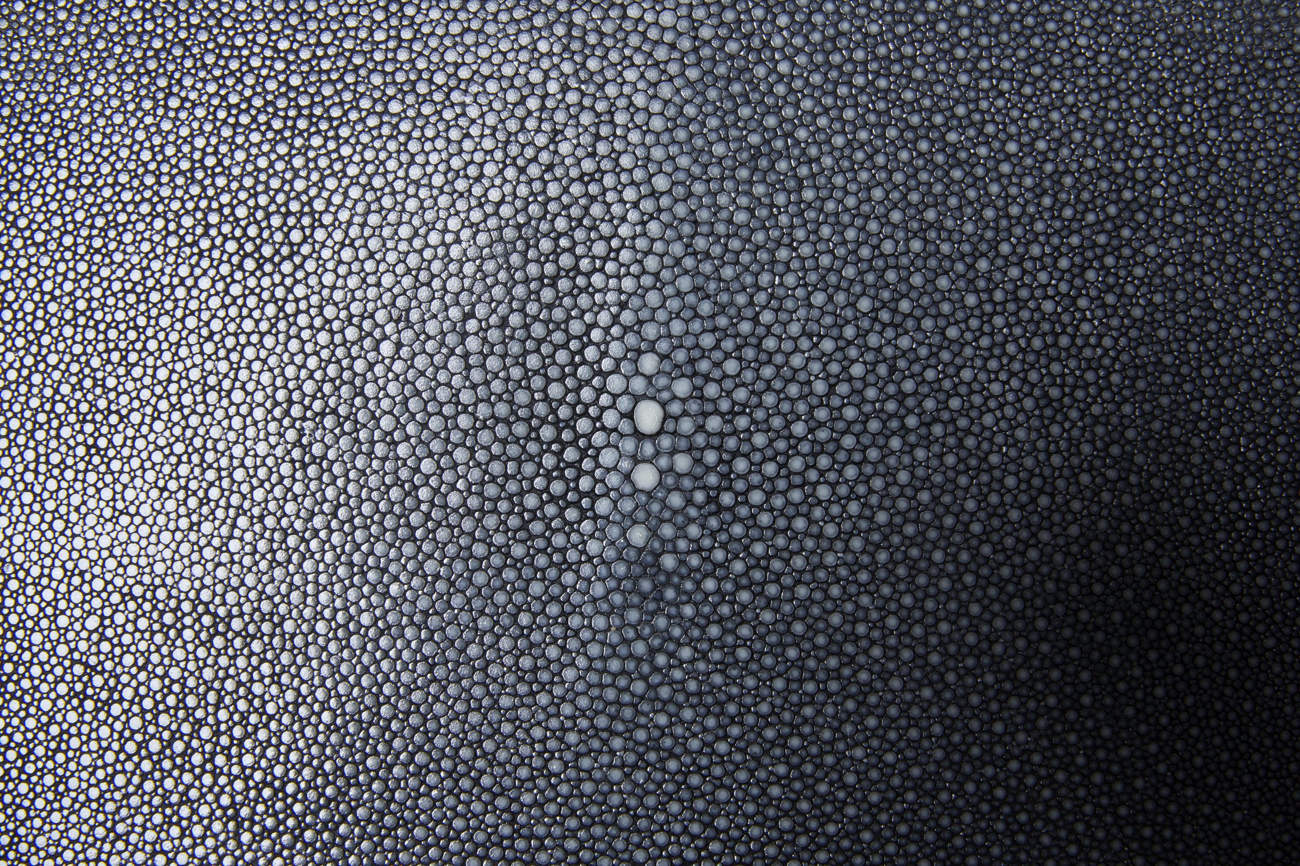 Reda AMALOU_collection Galerie_Edha Desk_Grey shagreen_©Mikael Benard_3